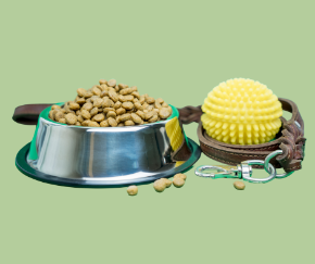 Picture for category Pet Supplies